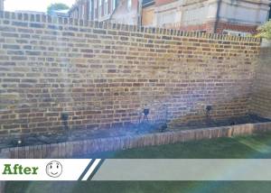 natural lime mortar pointing