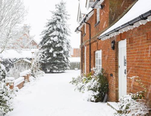 New Beginnings: Revitalising Your Property for the New Year