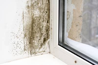 How to Spot Damp in Your Home