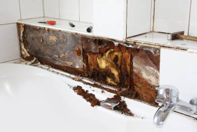Why DIY Water Damage Repairs Usually Make Things Worse