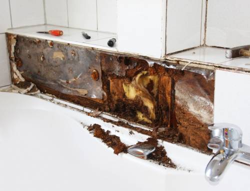 Why DIY Water Damage Repairs Usually Make Things Worse